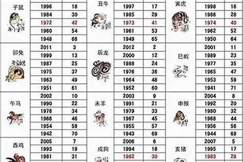 2003 年 生肖|2003年属什么生肖